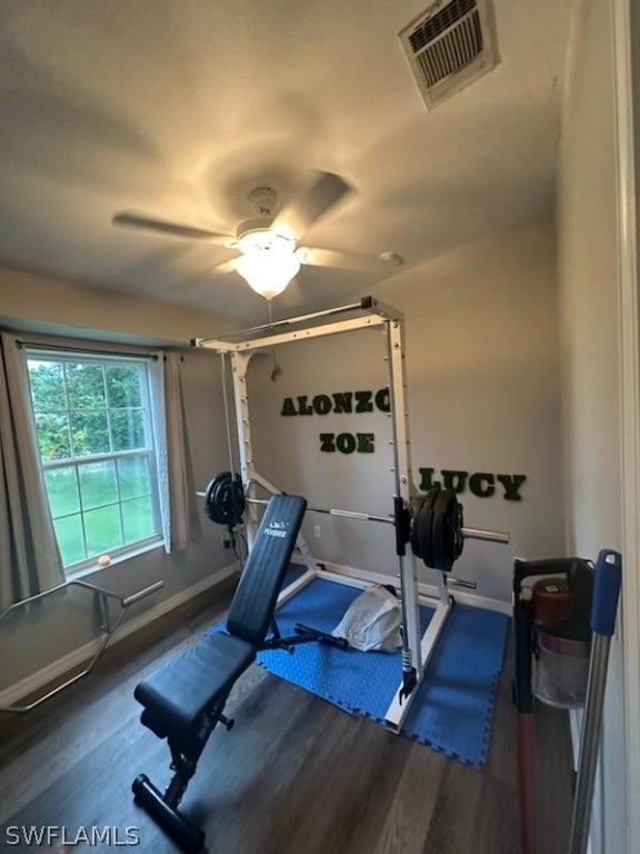 exercise area featuring ceiling fan and hardwood / wood-style floors