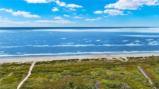 water view featuring a beach view