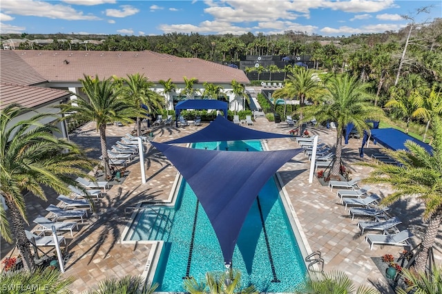 view of swimming pool featuring a patio