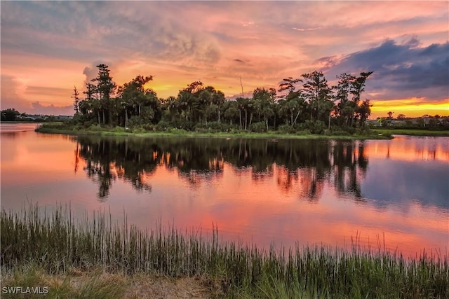 property view of water