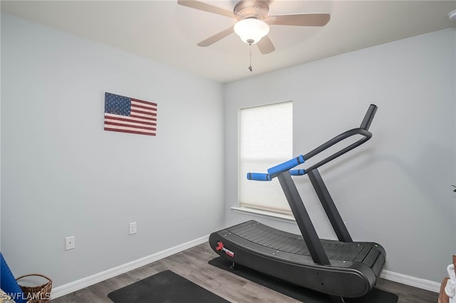 exercise area with ceiling fan and hardwood / wood-style floors