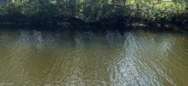 3200 Barrett Ave, Naples, FL 34112 - view of water feature