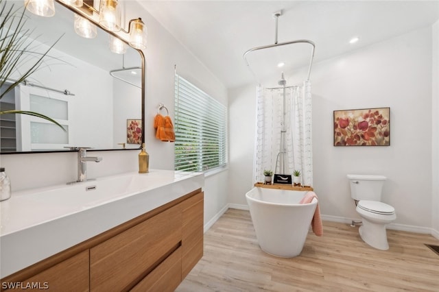 bathroom with hardwood / wood-style flooring, toilet, and vanity