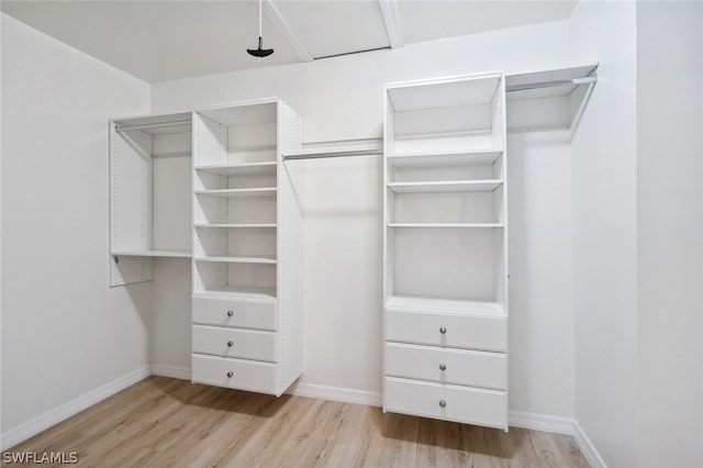 spacious closet with light wood-type flooring