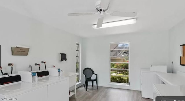 washroom with ceiling fan, washing machine and clothes dryer, and light hardwood / wood-style floors