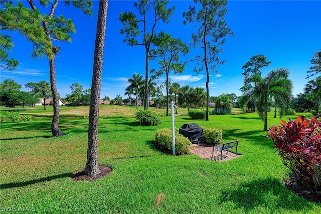 view of home's community featuring a yard