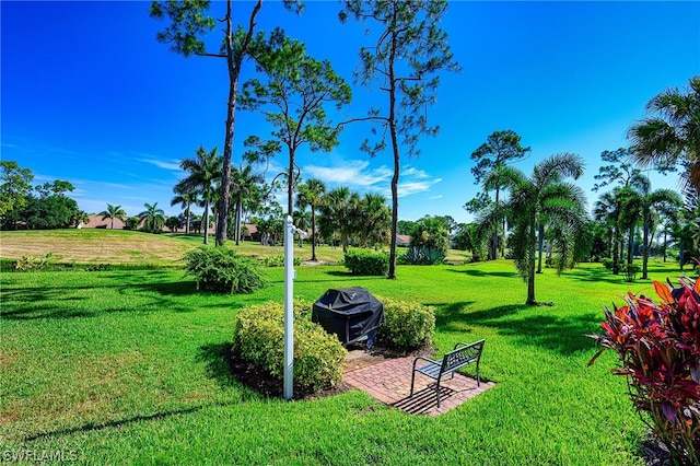 view of home's community featuring a lawn