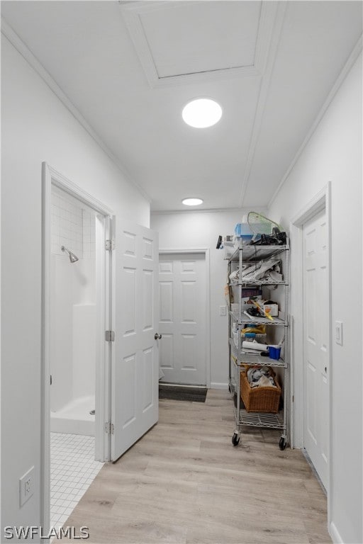 spacious closet with light hardwood / wood-style flooring