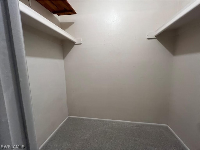 spacious closet with carpet flooring