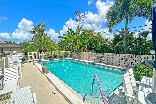 view of pool with a patio