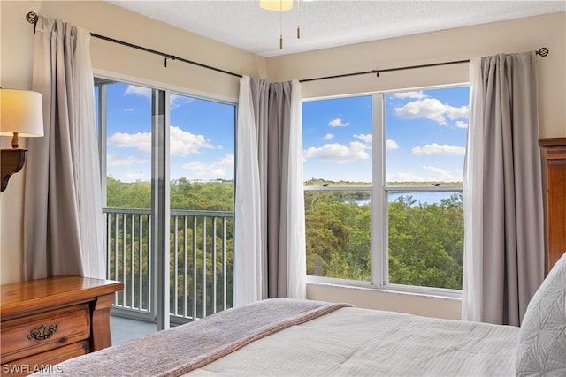 bedroom featuring multiple windows and access to exterior