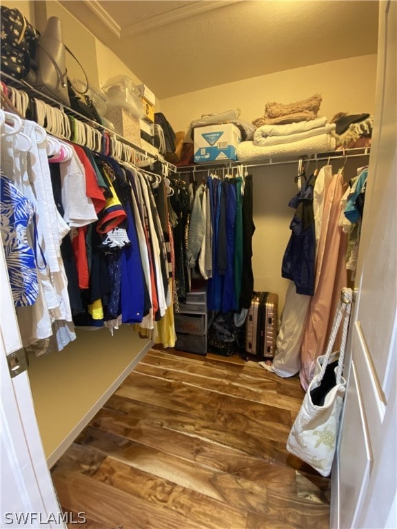 walk in closet with wood-type flooring