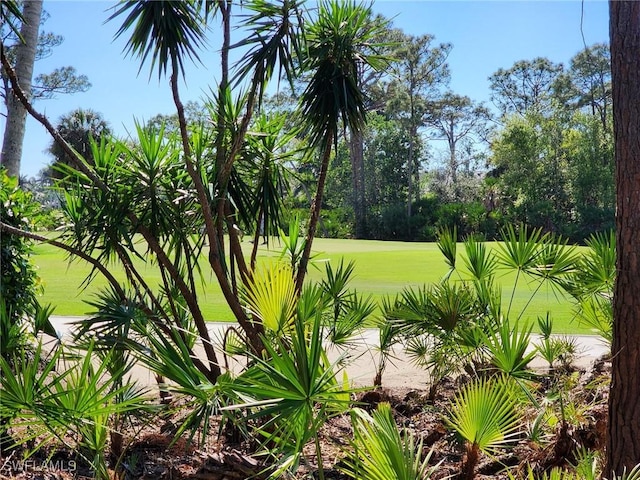 3941 Woodlake Dr, Bonita Springs FL, 34134 land for sale