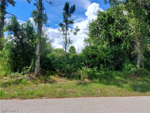 742 Clancy St E, Lehigh Acres FL, 33974 land for sale