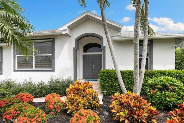 view of exterior entry with a shingled roof and stucco siding