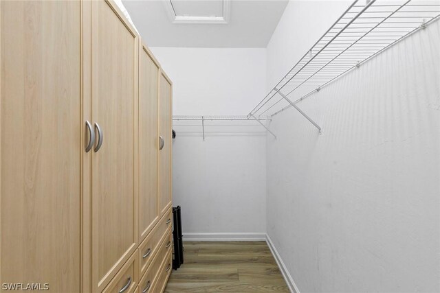 walk in closet with wood-type flooring