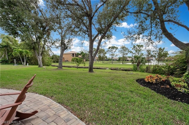 view of yard featuring a patio area