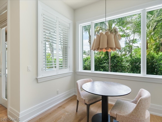 dining space with light hardwood / wood-style flooring