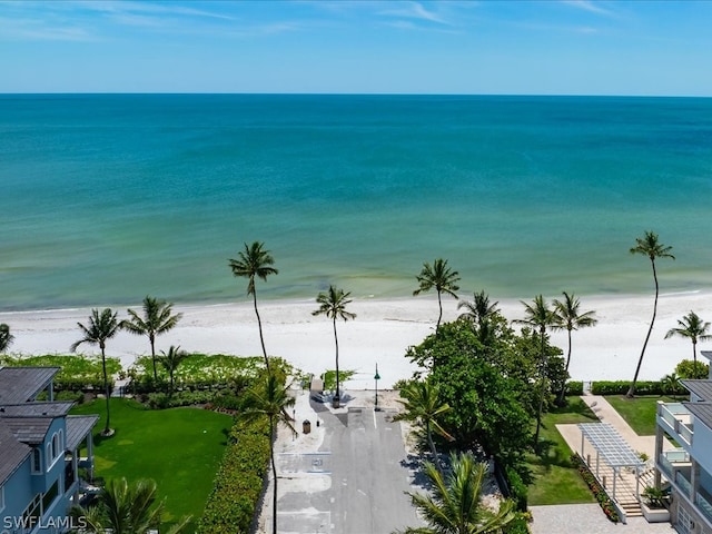 view of water feature featuring a beach view