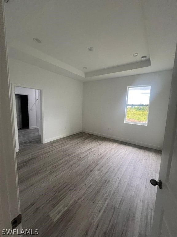 spare room featuring dark hardwood / wood-style flooring and a tray ceiling