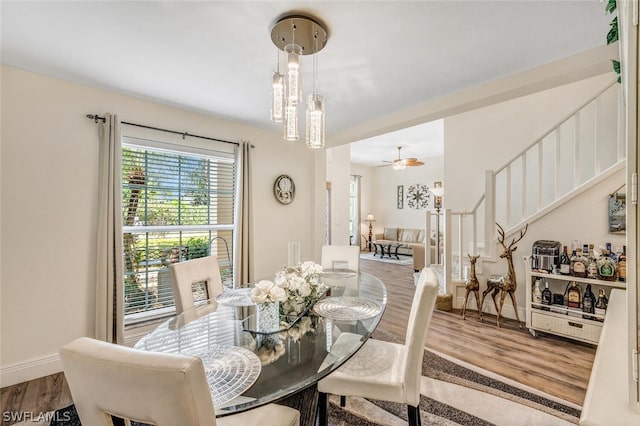 dining room with hardwood / wood-style floors and ceiling fan