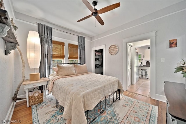 bedroom with a closet, a walk in closet, light hardwood / wood-style floors, and ceiling fan