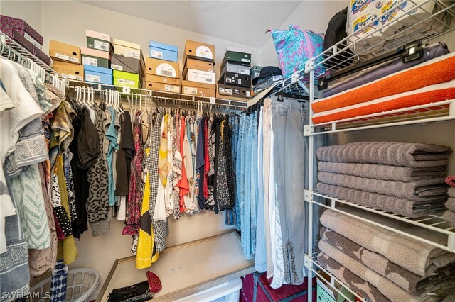 view of spacious closet