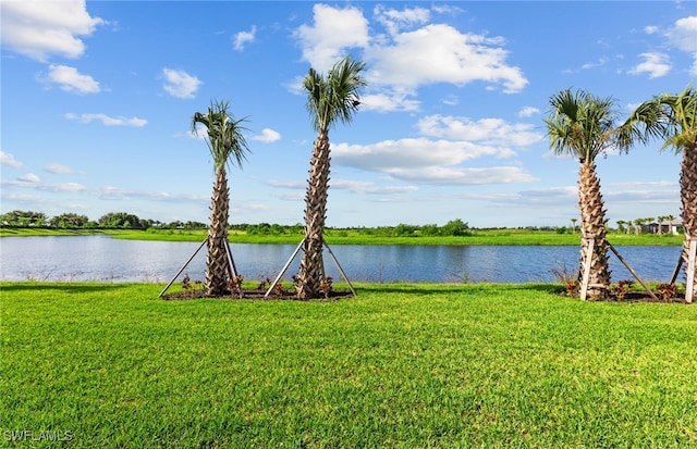 water view