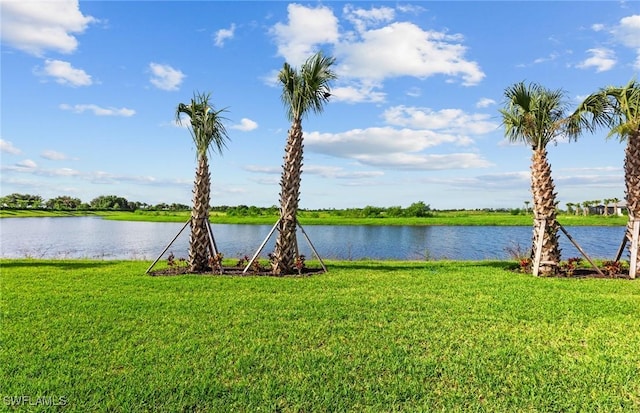 water view