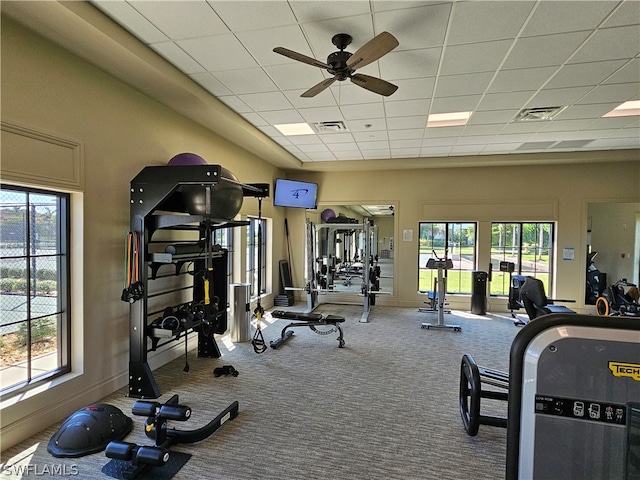 exercise room with carpet flooring, a drop ceiling, and ceiling fan