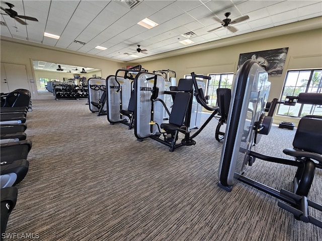 workout area featuring dark colored carpet, plenty of natural light, and ceiling fan