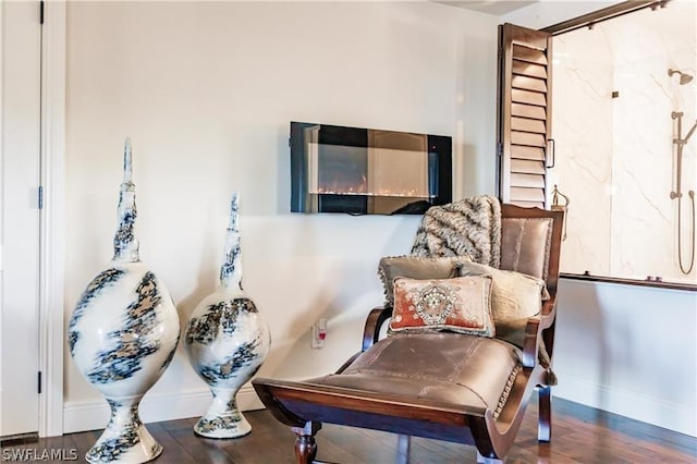 living area with dark wood-type flooring