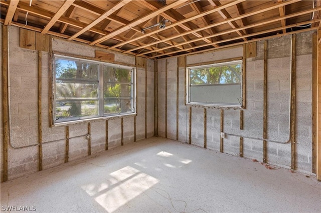 miscellaneous room with plenty of natural light