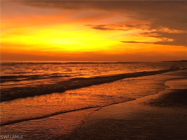 property view of water featuring a beach view