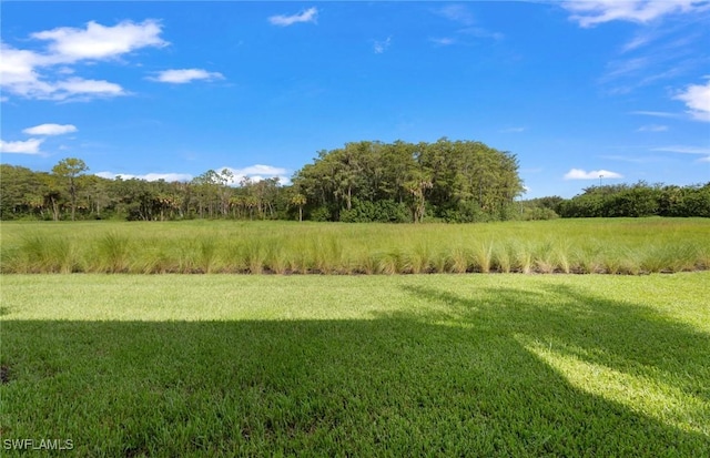 view of landscape