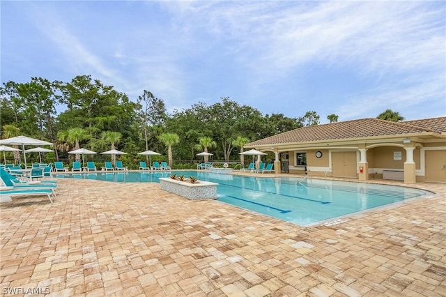 view of swimming pool with a patio area