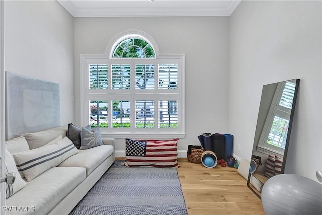 living area featuring ornamental molding, wood finished floors, and baseboards