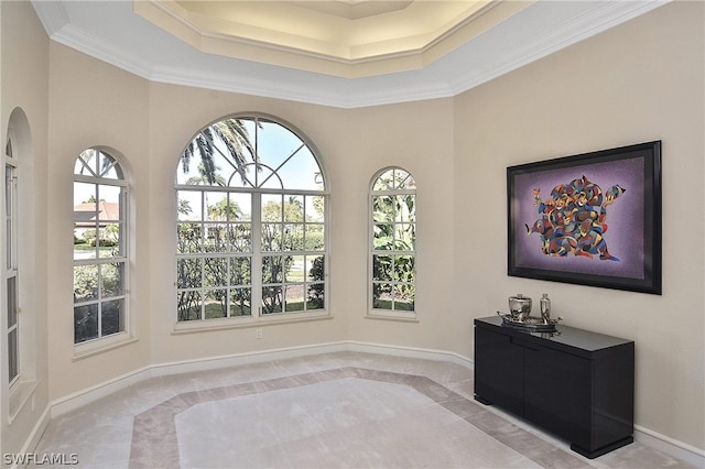 sitting room with a raised ceiling, light carpet, and crown molding