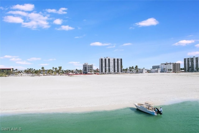 aerial view with a water view and a view of the beach