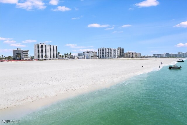 view of water feature featuring a beach view