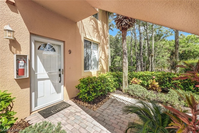 view of exterior entry featuring stucco siding