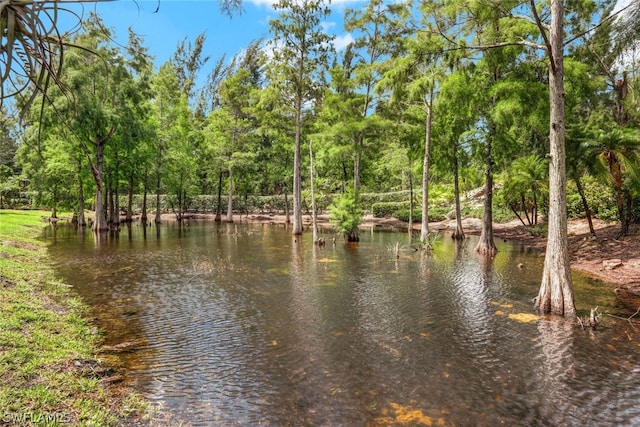 water view with a view of trees