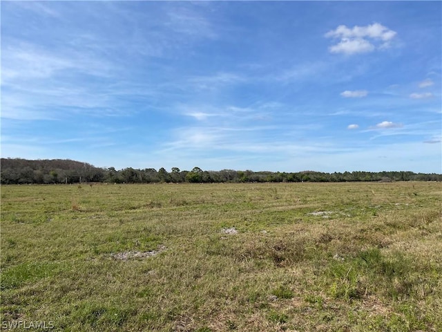 Listing photo 2 for Secretariat Dr, Labelle FL 33935