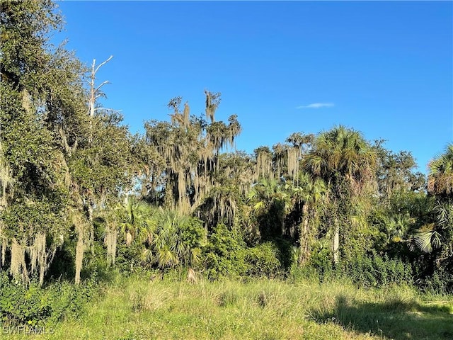 Secretariat Dr, Labelle FL, 33935 land for sale