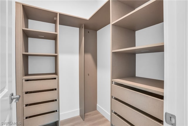 spacious closet featuring light hardwood / wood-style floors