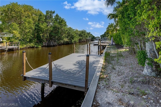13375 Snook Cir, Naples, FL 34114