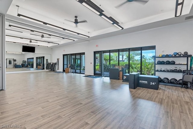 exercise room featuring ceiling fan and light hardwood / wood-style floors