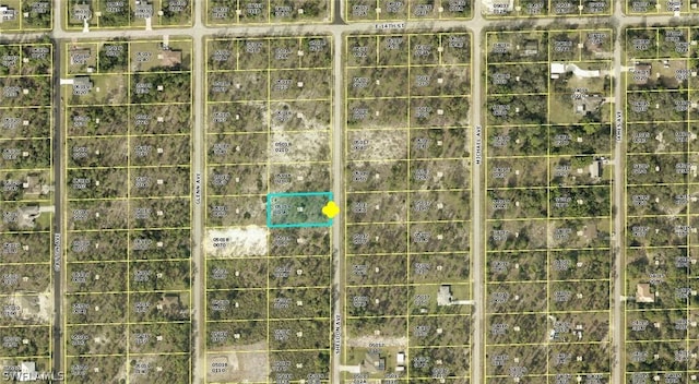 1313 Sheldon Ave, Lehigh Acres FL, 33972 land for sale