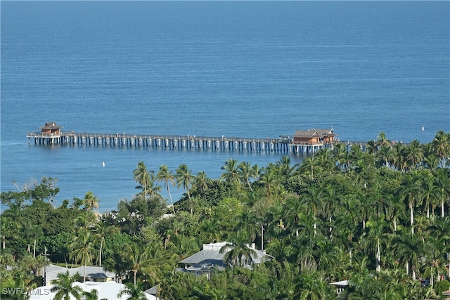 property view of water