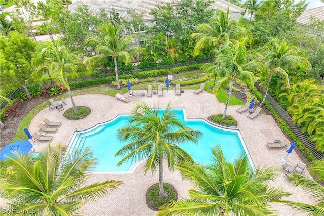 view of swimming pool with a patio area